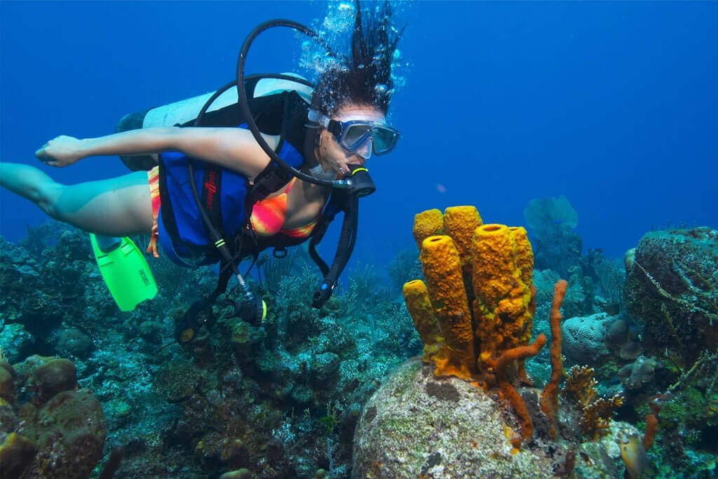 Andaman scuba diving