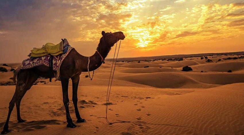 Rajasthan Desert Tour