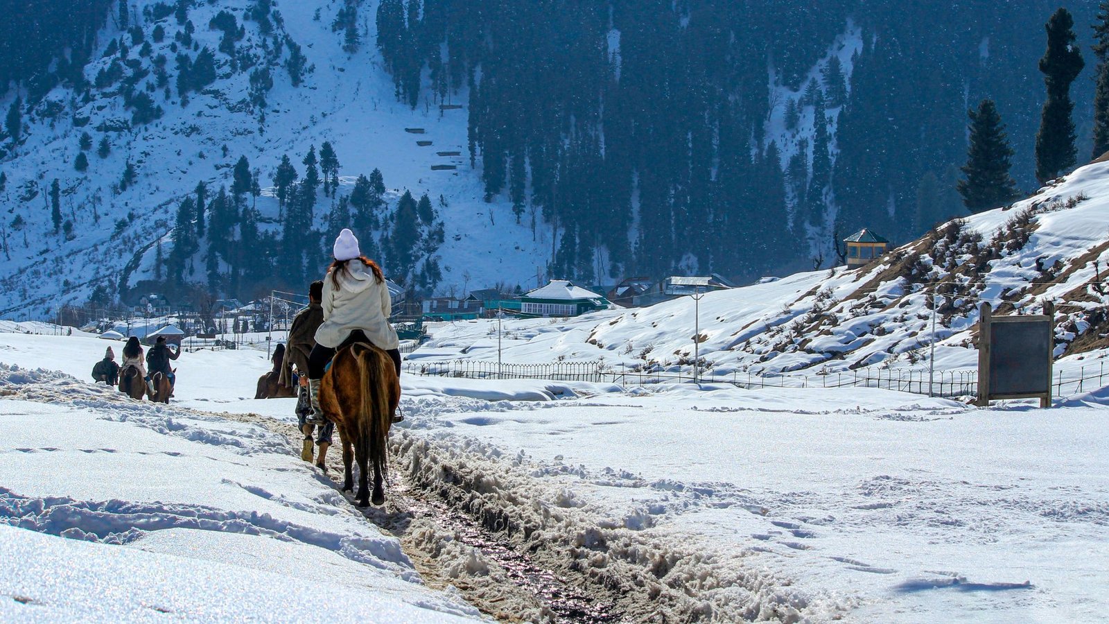 Ladakh Adventure